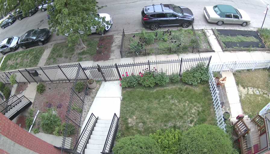 Reolink Camera Two_01_Reolink Home Hub One_20260518095632.jpg